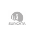 SURICATA